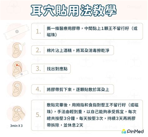 耳穴貼是什麼|為何頭暈、脹氣都要按耳朵？帶你認識中醫「耳穴貼」是什麼！抑。